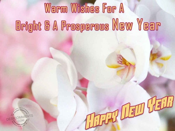 Warm Wishes For A Bright & A Prosperous New Year