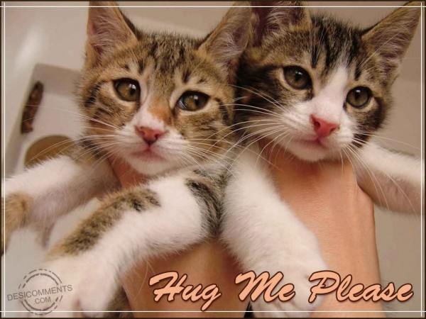 Hug Me Please