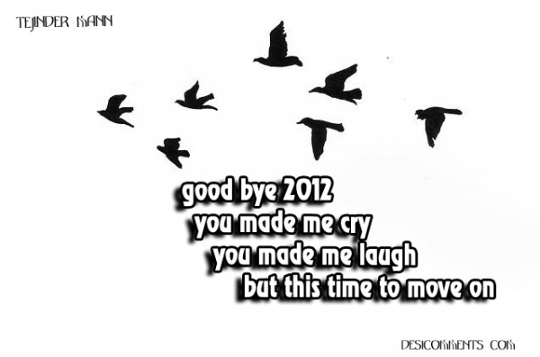 Good Bye 2012 And Happy New Year 2013