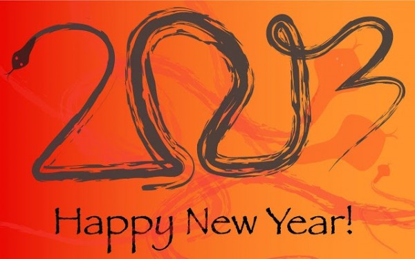 Happy New Year 2013