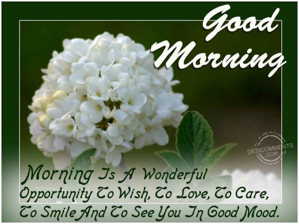 Morning Is A Wonderful Opportunity To Wish
