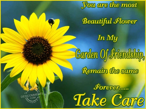 You Are The Most Beautiful Flower...
