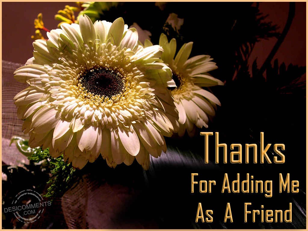 Thank add. Thanks for adding me. Thank you for today. Thanks for me. Add me as a friend.