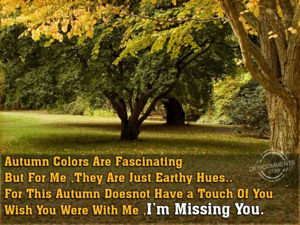 I Am Missing You