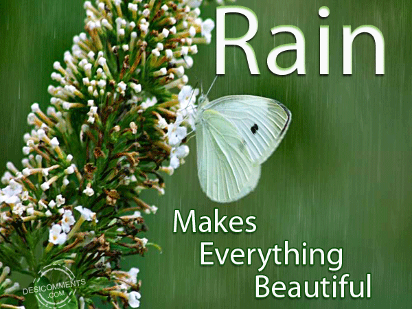 You make me everything. Palm Beauty Rain. Happy Rain graphic Design. Everything was beautiful. Do everything sincerely. Everything is beautiful..