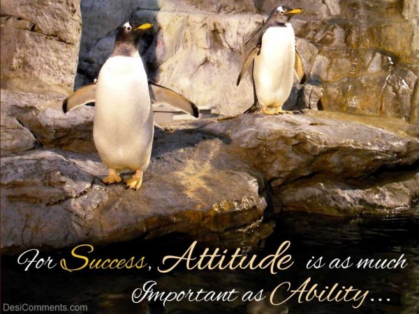Attitude Is Important...