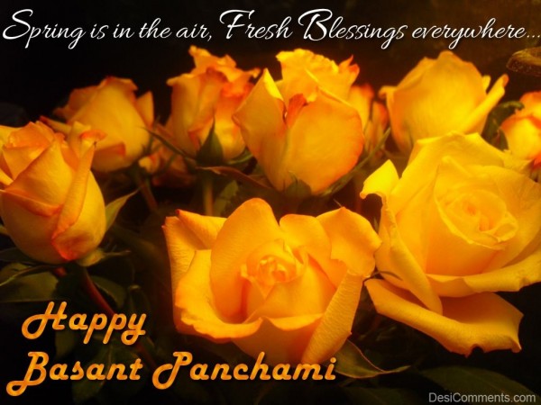 Wishing You Happy Basant Panchami…