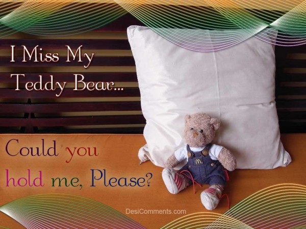 I Miss My Teddy Bear…