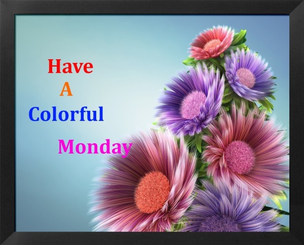 Have A Colorful Monday