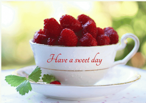 Have A Sweet Day