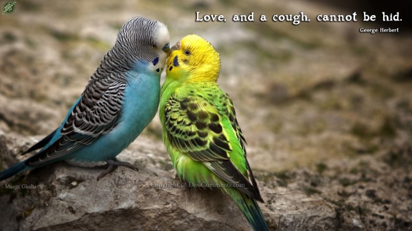 Love and Cough...