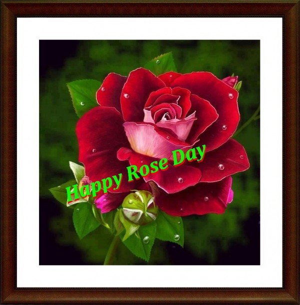 Happy Rose Day