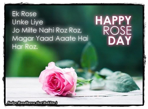 rose hindi shayari