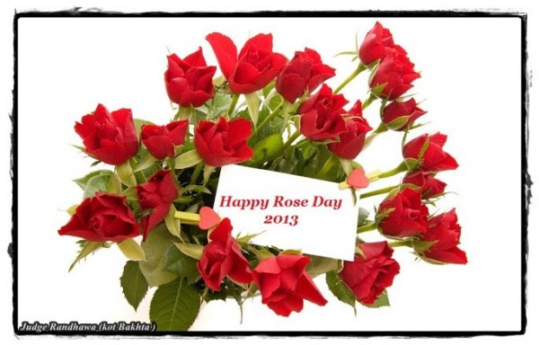 Happy Rose Day