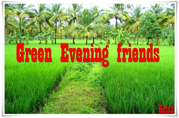 Good Evening Friends 