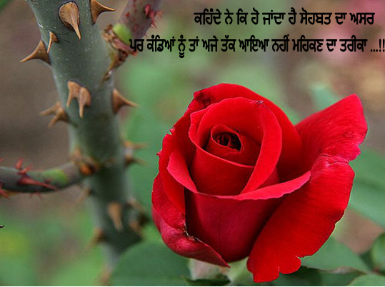 Sohbat da Asar...