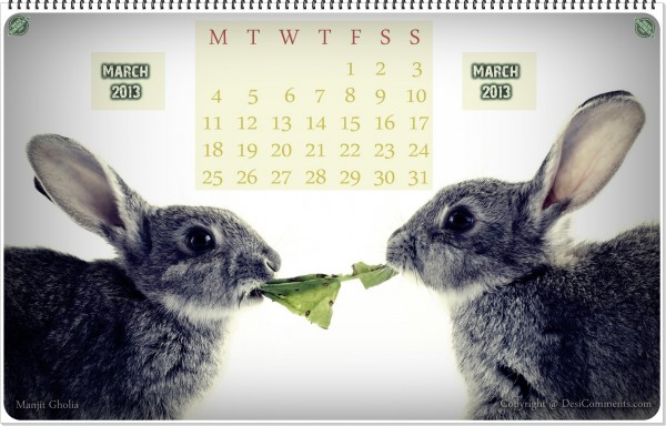 Calendar of March 2013