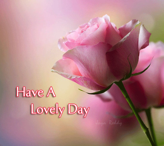 Have A Lovely Day