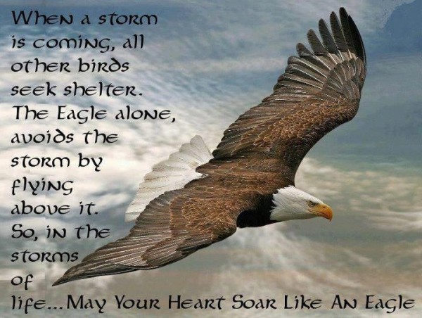 Be Like An Eagle