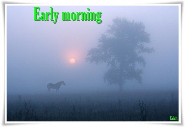 Early Morning
