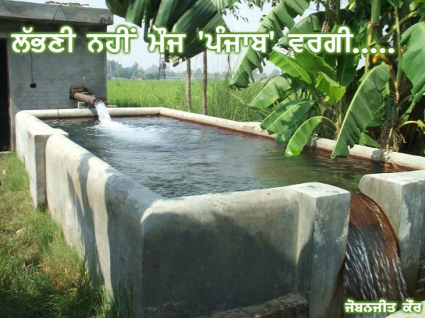 Mauj Punjab Vargi….