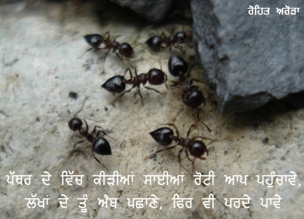 Patthar De Vich...