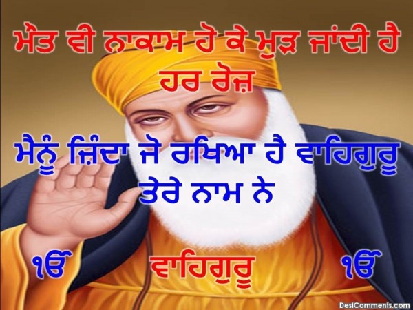 Waheguru Tere Naam Ne