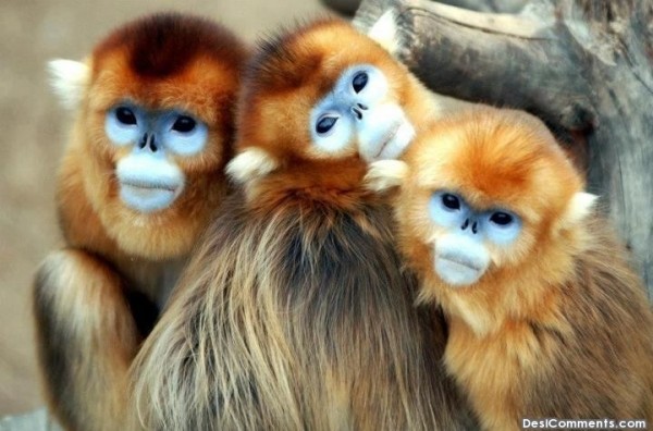 So Sweet