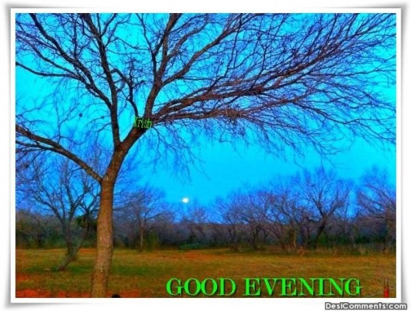 Good Evening