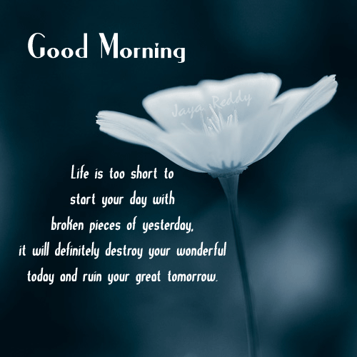 Good Morning Quote
