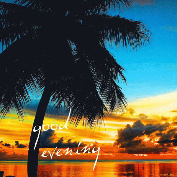 Good Evening