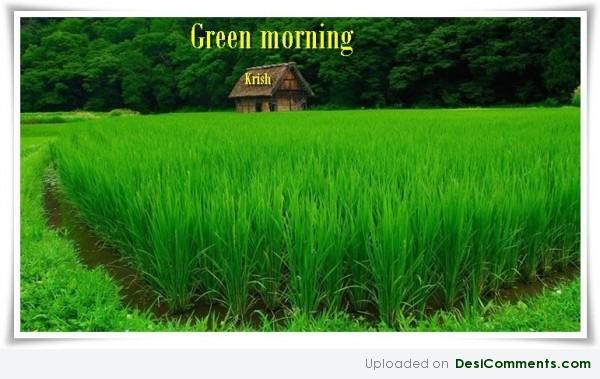 Green Morning 