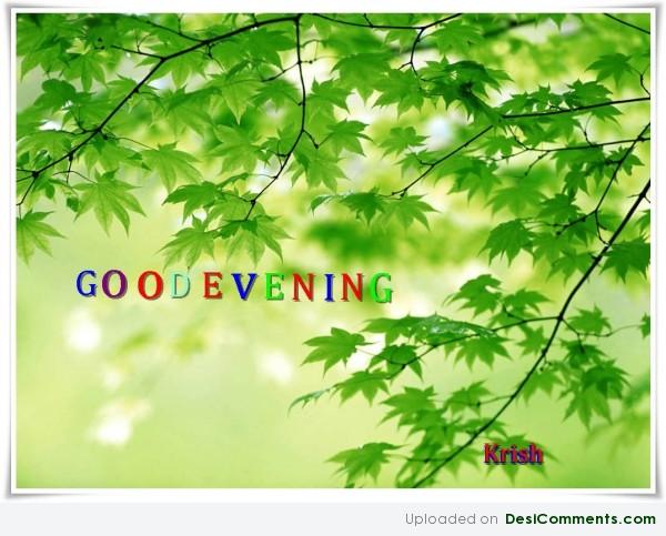 Good evening