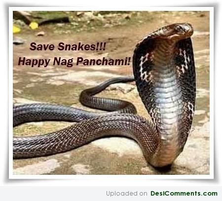 Save snakes
