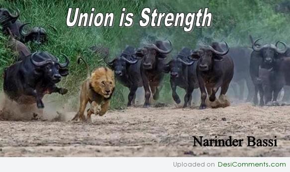 Union is Strength - DesiComments.com