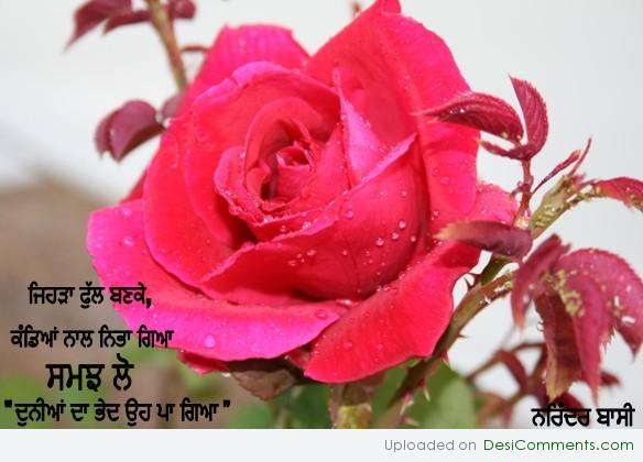 Dunia da Bheed..