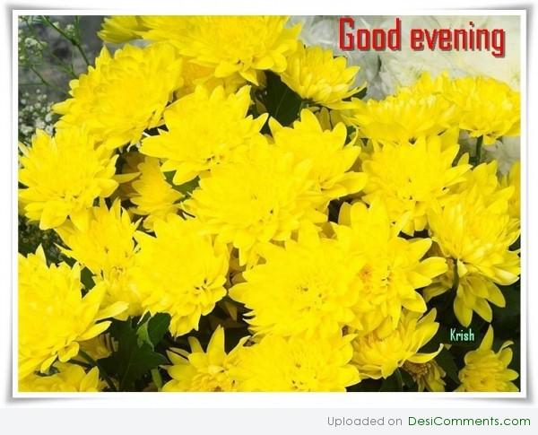 Good Evening