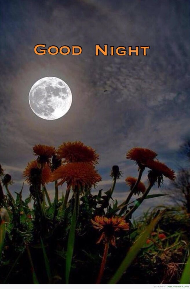 Good night - DesiComments.com