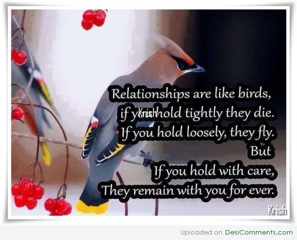 Relationships are like birds