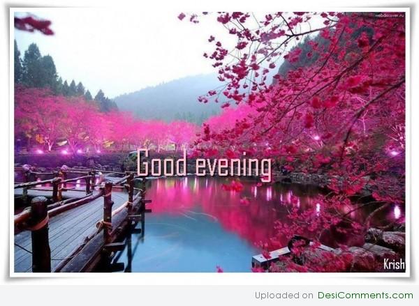 Good evening