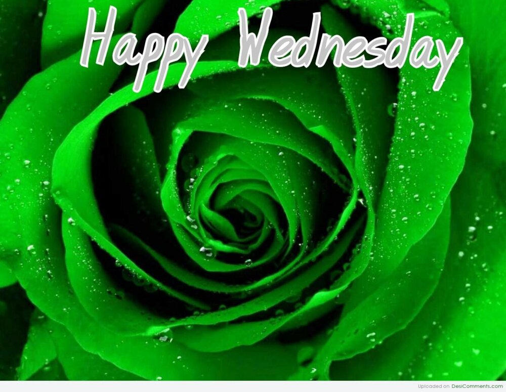 Happy Wednesday - DesiComments.com