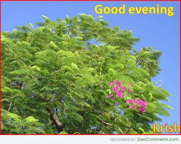 Good evening 