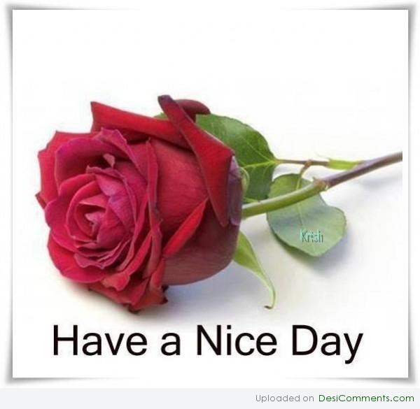 Have a nice day