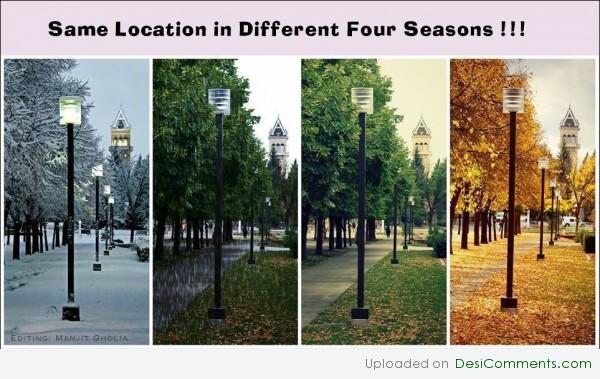 Four Seasons