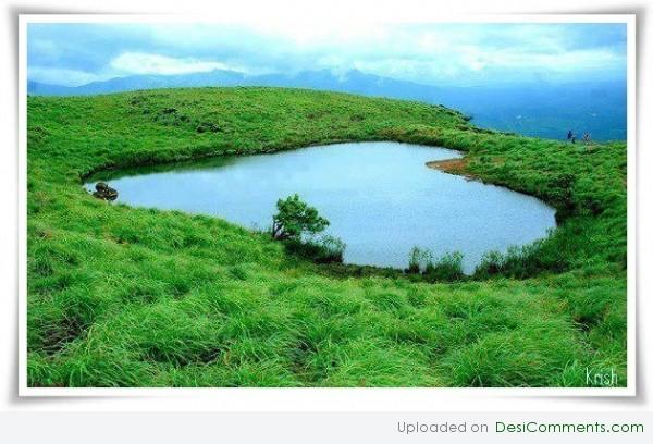 Lake heart
