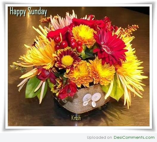 Happy Sunday