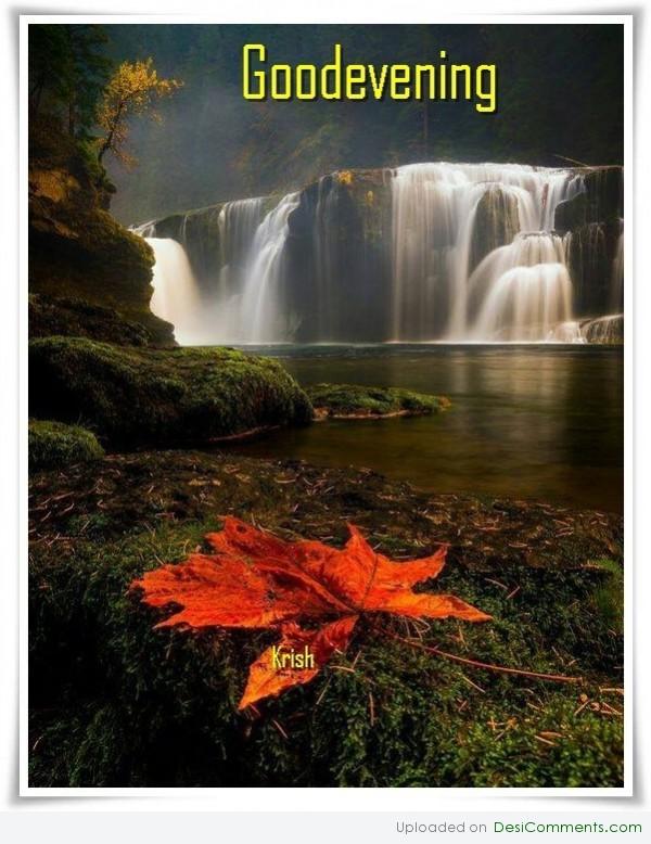 Good evening