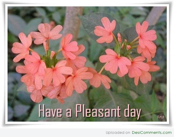 Have a pleasant day