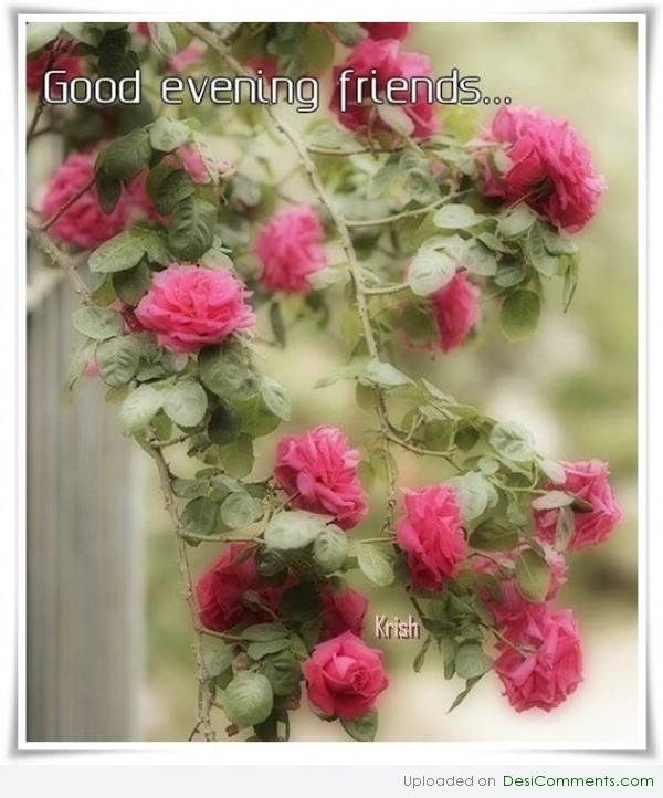 Good evening
