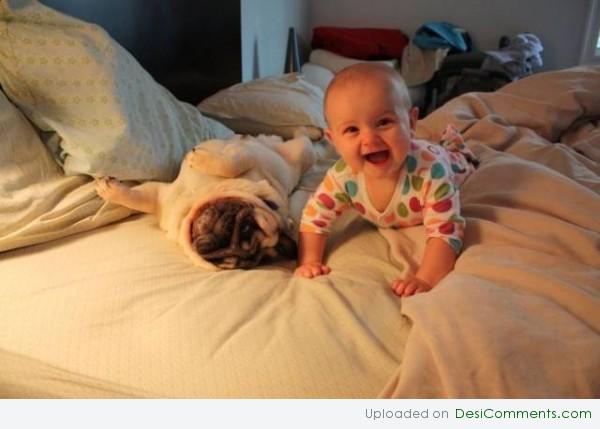 cute babies with funny dogs pics